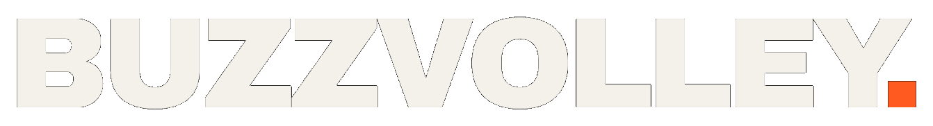 BuzzVolley